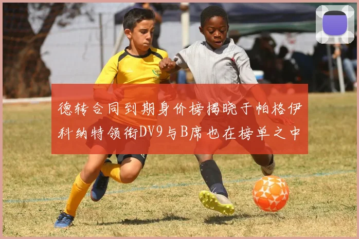 德转合同到期身价榜揭晓于帕格伊科纳特领衔DV9与B席也在榜单之中